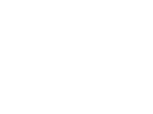 Bella Cosa Logo