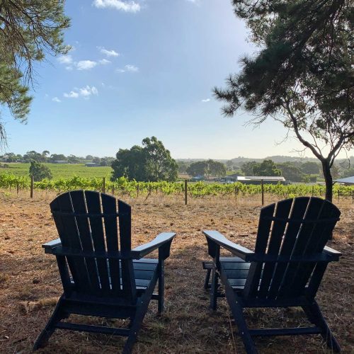 Enjoy a wine up in the forest and watch the sun set.